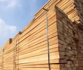 楊木板無節(jié)楊木板工廠批發(fā)