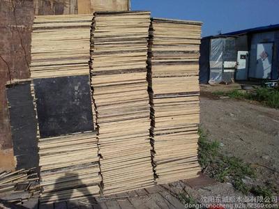沈陽木材回收廠沈陽回收木材廠家東城順綠色循環 圖片_高清圖_細節圖-沈陽東城順木業 -