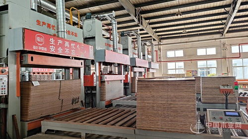 福慶孕嬰板綠色工廠開(kāi)放日 領(lǐng)略品質(zhì)工藝,守護(hù)孕嬰未來(lái)