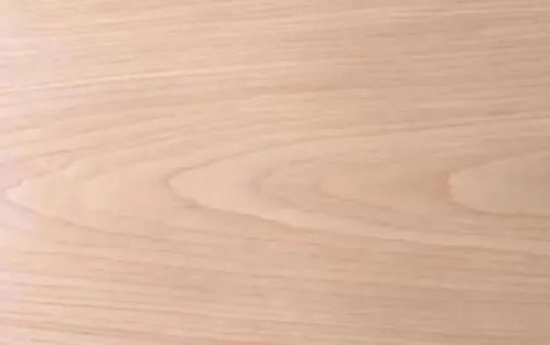 中意木業 實木家具常見的7種木材