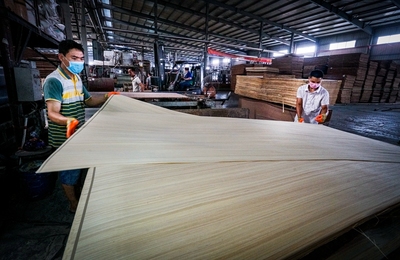 民企木業扶貧之星