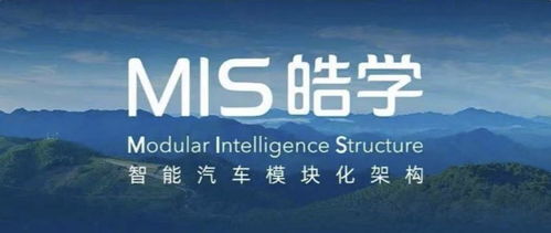 思皓qx 不氣盛還叫年輕人嗎